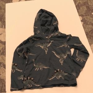 Tea collection dino hoodie